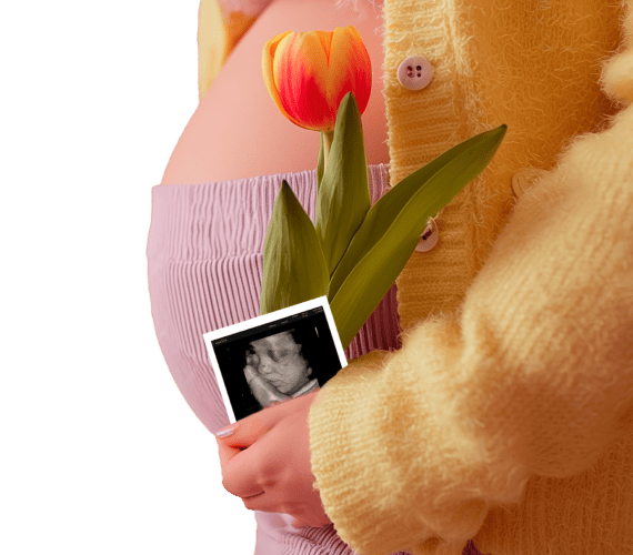 ВЕСНА ВНУТРИ